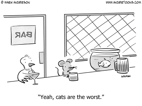 Cat Cartoons & Comics