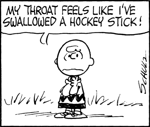 Charlie Brown cartoon