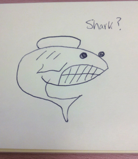 Cartoon Shark 5